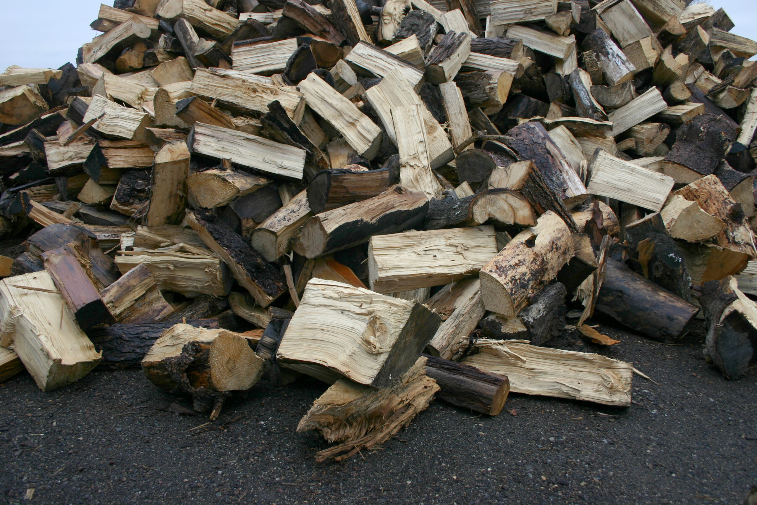 Featured image for “Soft Boiler Wood”