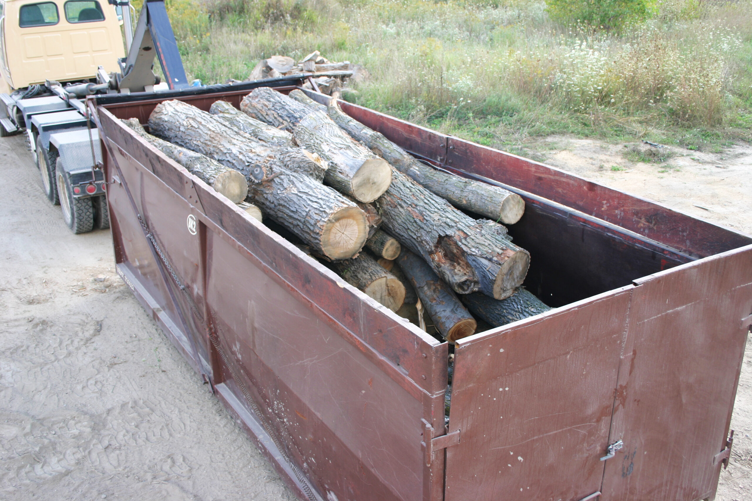 Unprocessed Softwood Logs