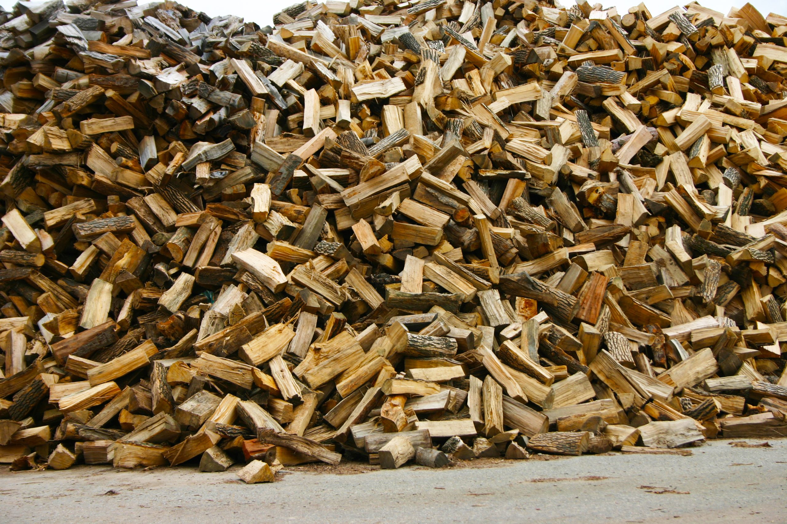Featured image for “Firewood”